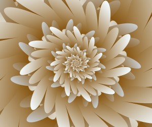 Browny Flora